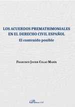 Los acuerdos prematrimoniales en el derecho civil español