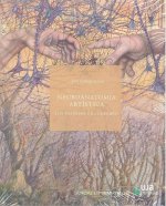 Neuroanatomía artística. Los Paisajes del Cerebro