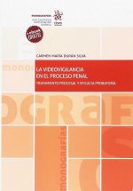 La Videovigilancia en el Proceso Penal. Tratamiento Procesal y Eficacia Probatoria