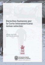 Derechos humanos por la Corte Interamericana: temas selectos