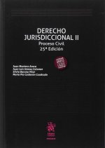 Derecho Jurisdiccional II Proceso Civil 25ª Edición 2017