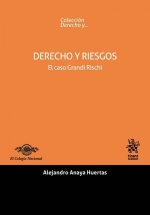 Derecho y Riesgos El Caso Grandi Rischi