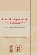 Principio de precaución. Estudio aproximativo de su ingreso al derecho penal