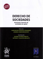 Derecho de Sociedades. Revisando el derecho de sociedades de capital