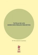 Tutela de los Derechos Reales inscritos