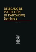 Delegado de protección de datos (DPO) dominio1