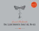 Una llum diminuta sorgí del no-res