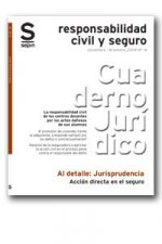 ACCION DIRECTA EN EL SEGURO