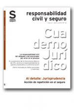ACCION DE REPETICION EN EL SEGURO