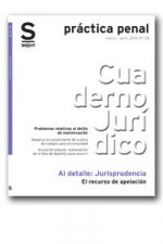 RECURSO DE APELACION, EL