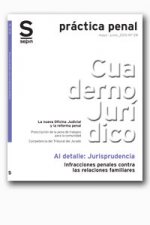 INFRACCIONES PENALES CONTRA LAS RELACIONES FAMILIARES