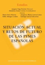 SITUACION ACTUAL Y RETOS DE FUTURO DE LAS PYMES ESPAÑOLAS