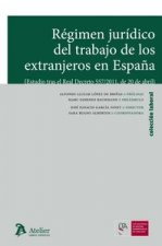 Régimen jurídico del trabajo de los extranjeros en España.