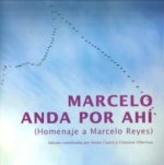Marcelo anda por ahí