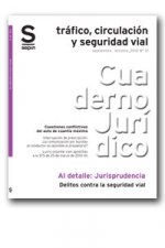 DELITOS CONTRA LA SEGURIDAD VIAL