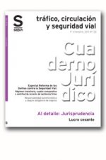 LUCRO CESANTE