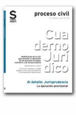 EJECUCION PROVISIONAL, LA