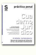 RECURSO DE CASACION POR INFRACCION DE LEY Y DE PRECEPTO CONSTITUCIONAL