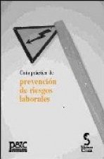 Guía práctica de prevención de riesgos laborales, 2006