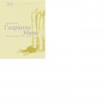 L'espàrrec blanc: Com preparar-lo 10 vegades