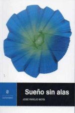 Sueño sin alas