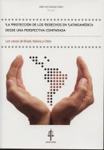 PROTECCIóN DE LOS DERECHOS EN LATINOAMéRICA DESDE UNA PERSPECTIVA COMPARADA, LA