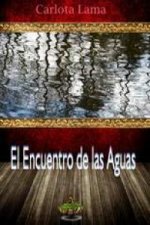 El encuentro de las aguas
