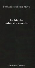 HIERBA ENTRE EL CEMENTO, LA