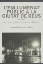 L'ENLLUMENAT PUBLIC A LA CIUTAT