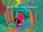 James The Boy Wizard