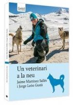 Un veterinari a la neu