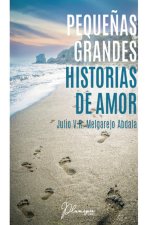 Pequeñas Grandes Historias de Amor