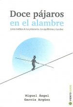 DOCE PAJAROS EN EL ALAMBRE
