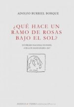 ¿Qué hace un ramo de rosas bajo el sol?