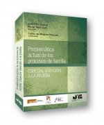 Problemática actual de los procesos de familia. Especial atención a la prueba