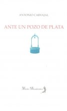 Ante un pozo de plata