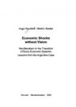 ECONOMIC SHOCKS WITHOUT VISION