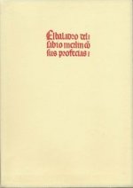 BALADRO DEL SABIO MERLIN, EL 2 VOLS.