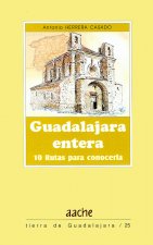 Guadalajara entera