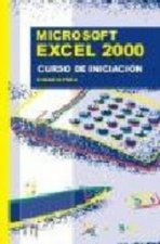 EXCEL 2000 CURSO DE INICIACION
