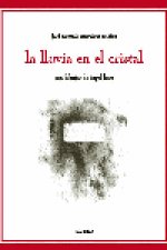 La lluvia en el cristal