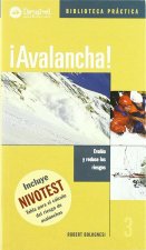 IAVALANCHA!