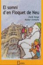 El somni d'en floquet de neu