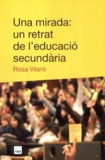 Una mirada: un retrat de l'educació secundària
