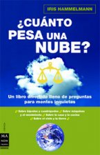 Cuánto pesa una nube?