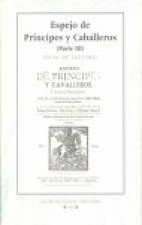ESPEJO DE PRINCIPES Y CABALLEROS III (GUIA DE LECTURA)