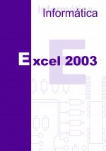 Excel 2003