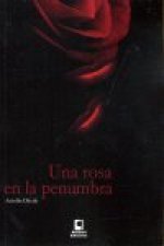 Una rosa en la penumbra