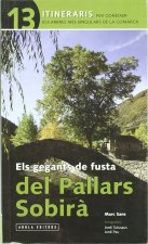 Els gegants de fusta Pallars Sobirà