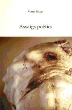 Assaigs poètics